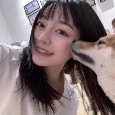 数码进化手游下载